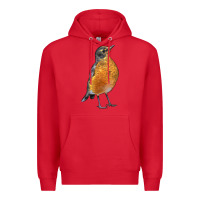 Red American Robin Bird Premium Hoodie - LillyAllenDesigns