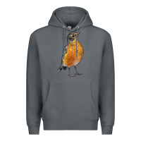 Rock American Robin Bird Premium Hoodie - LillyAllenDesigns