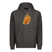Smoke American Robin Bird Premium Hoodie - LillyAllenDesigns