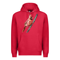 Cardinal Northern Cardinal Bird Premium Hoodie - LillyAllenDesigns