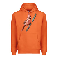 Carrot Northern Cardinal Bird Premium Hoodie - LillyAllenDesigns