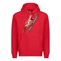 Red Northern Cardinal Bird Premium Hoodie - LillyAllenDesigns
