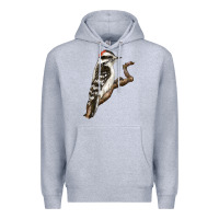 Heather Grey Downy Woodpecker Premium Hoodie - LillyAllenDesigns