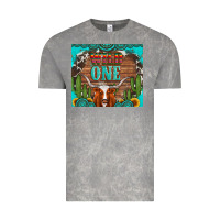 Cloud Rock wild one longhorn gemstones cactus and sunflowers Vintage Tee - Artiststas
