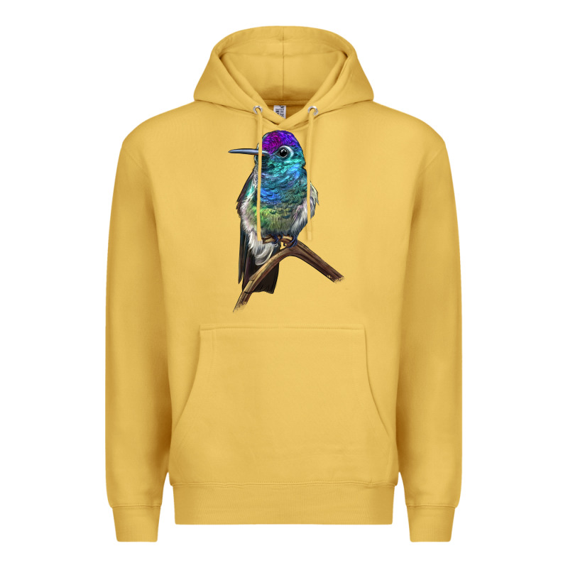 Rivoli`s Hummingbird Premium Hoodie by LillyAllenDesigns | Teevron