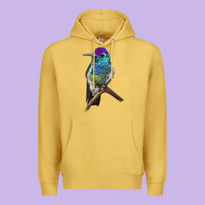 Rivoli`s Hummingbird Premium Hoodie Designed By Lillyallendesigns