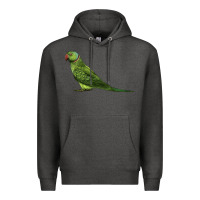 Charcoal Heather Ring Necked Parakeet Premium Hoodie - LillyAllenDesigns