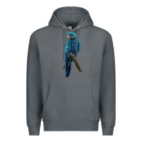 Rock Hyacinth Macaw Premium Hoodie - LillyAllenDesigns
