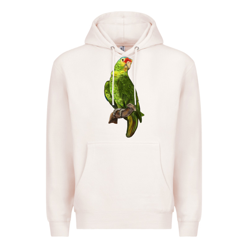 New Zealand Paraket Parrot Premium Hoodie by LillyAllenDesigns | Teevron