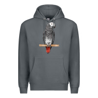 Rock African Gray Parrot Bird Premium Hoodie - LillyAllenDesigns