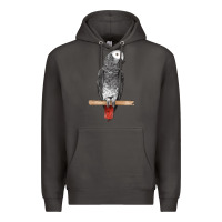 Smoke African Gray Parrot Bird Premium Hoodie - LillyAllenDesigns