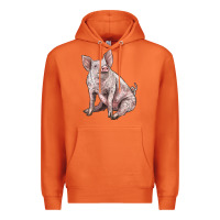Carrot american yorkshire pig Premium Hoodie - LillyAllenDesigns
