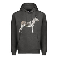 Charcoal Heather Andalusian Donkey Premium Hoodie - LillyAllenDesigns