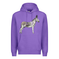 Andalusian Donkey Premium Hoodie | Teevron