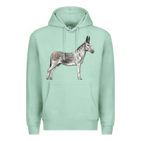 Seafoam Andalusian Donkey Premium Hoodie - LillyAllenDesigns