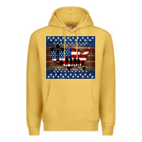 Antique Gold god bless america american flag tumbler Premium Hoodie - Jasminsmagicworld