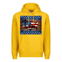 Lemon god bless america american flag tumbler Premium Hoodie - Jasminsmagicworld