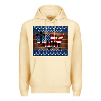 Pina Colada god bless america american flag tumbler Premium Hoodie - Jasminsmagicworld