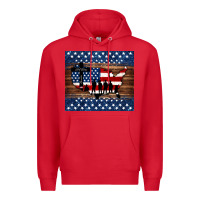 Red god bless america american flag tumbler Premium Hoodie - Jasminsmagicworld