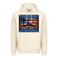 God Bless America American Flag Tumbler Premium Hoodie | Teevron