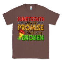 Chestnut juneteenth was a promise what was broken Classic Tee - texasbilliewilder