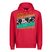 Cardinal western turquoise gemstone cowhide  leather tumbler Premium Hoodie - Jasminsmagicworld