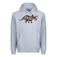 Heather Grey Triceratops Horridus Premium Hoodie - LillyAllenDesigns