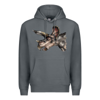 Rock Triceratops Horridus Face Premium Hoodie - LillyAllenDesigns