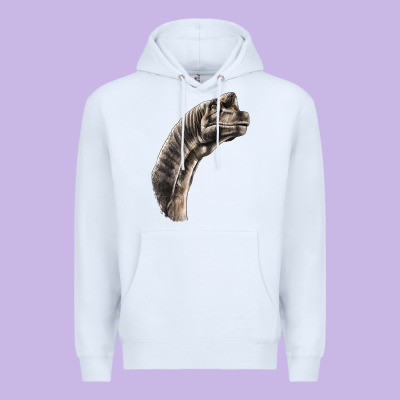 Brachiosaurus Face Premium Hoodie Designed By Lillyallendesigns