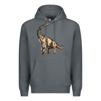 Rock Brachiosaurus Premium Hoodie - LillyAllenDesigns