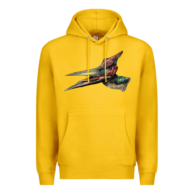 Pteranodon Face Premium Hoodie by LillyAllenDesigns | Teevron