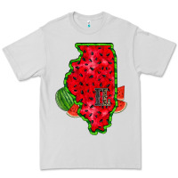 Dove Grey illinois watermelon Premium Tee - RacoonDesign