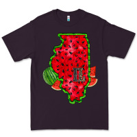 Plum illinois watermelon Premium Tee - RacoonDesign