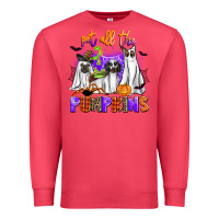 Cardinal pet all the pupkins Premium Sweatshirt - AdoDesignShop
