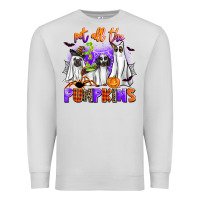 Dove Grey pet all the pupkins Premium Sweatshirt - AdoDesignShop