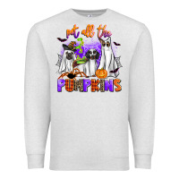 Oatmeal Heather pet all the pupkins Premium Sweatshirt - AdoDesignShop