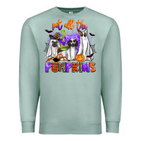 Seafoam pet all the pupkins Premium Sweatshirt - AdoDesignShop