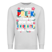 Dove Grey so long pre k Premium Sweatshirt - JahusDesignShop