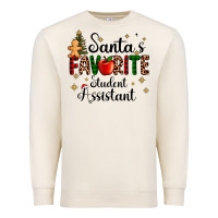 Sandshell santa's favorite student assistant Premium Sweatshirt - AdoDesignShop