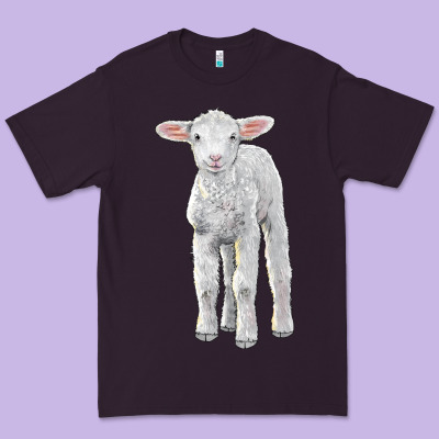 Merino Wool Baby Sheep Premium Tee Designed By Lillyallendesigns