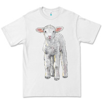 White merino wool baby sheep Premium Tee - LillyAllenDesigns