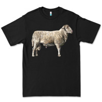 Black katahdin sheep Premium Tee - LillyAllenDesigns