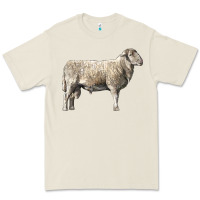 Bone katahdin sheep Premium Tee - LillyAllenDesigns
