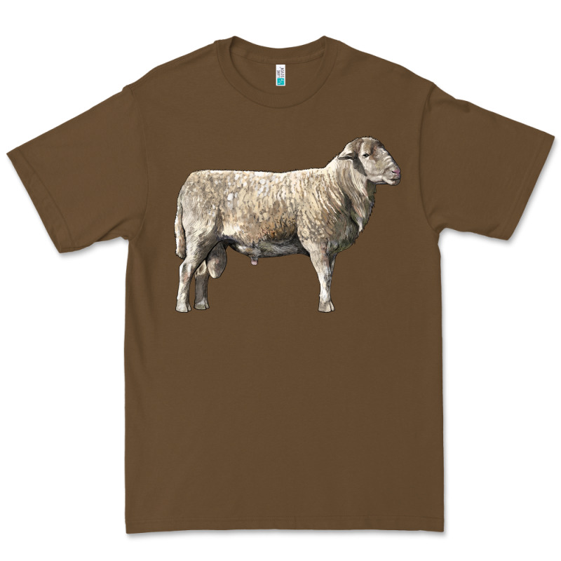 Katahdin Sheep Premium Tee by LillyAllenDesigns | Teevron
