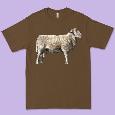 Katahdin Sheep Premium Tee Designed By Lillyallendesigns