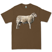 Cacao katahdin sheep Premium Tee - LillyAllenDesigns