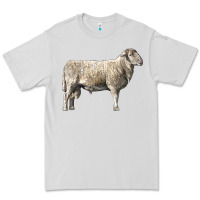 Dove Grey katahdin sheep Premium Tee - LillyAllenDesigns