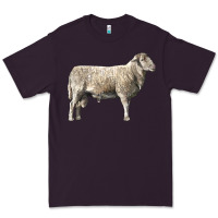 Plum katahdin sheep Premium Tee - LillyAllenDesigns
