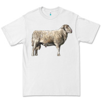 White katahdin sheep Premium Tee - LillyAllenDesigns