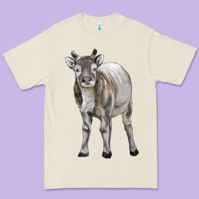 Reindeer Fawn Deer Premium Tee Designed By Lillyallendesigns